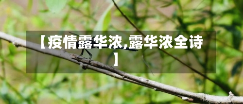 【疫情露华浓,露华浓全诗】