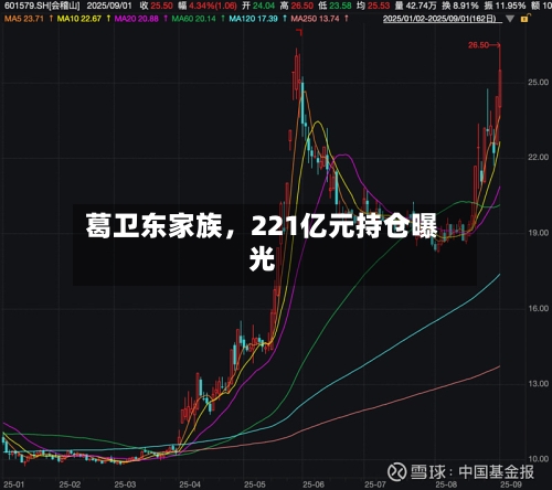 葛卫东家族，221亿元持仓曝光-第2张图片