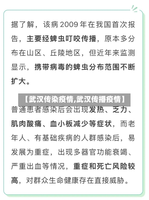 【武汉传染疫情,武汉传播疫情】-第3张图片