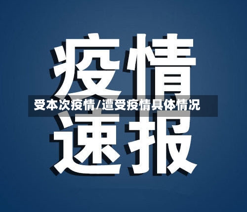 受本次疫情/遭受疫情具体情况-第2张图片