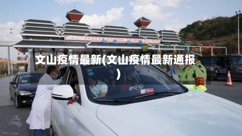 文山疫情最新(文山疫情最新通报)-第2张图片