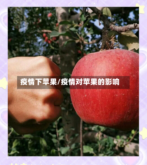 疫情下苹果/疫情对苹果的影响