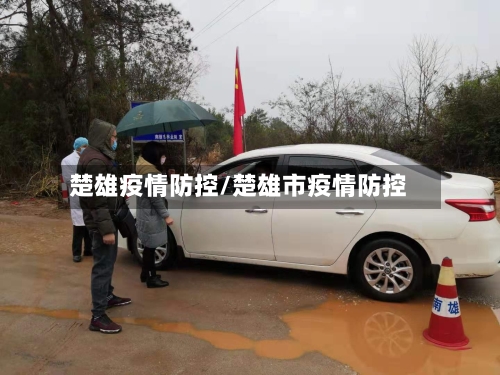 楚雄疫情防控/楚雄市疫情防控-第3张图片