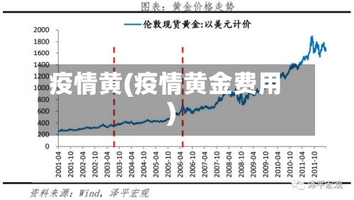 疫情黄(疫情黄金费用)