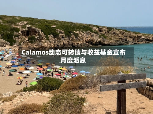 Calamos动态可转债与收益基金宣布月度派息