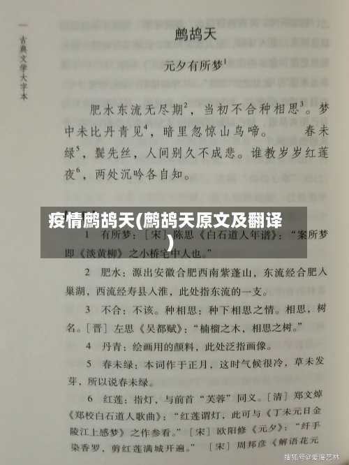 疫情鹧鸪天(鹧鸪天原文及翻译)