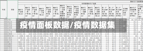疫情面板数据/疫情数据集-第2张图片