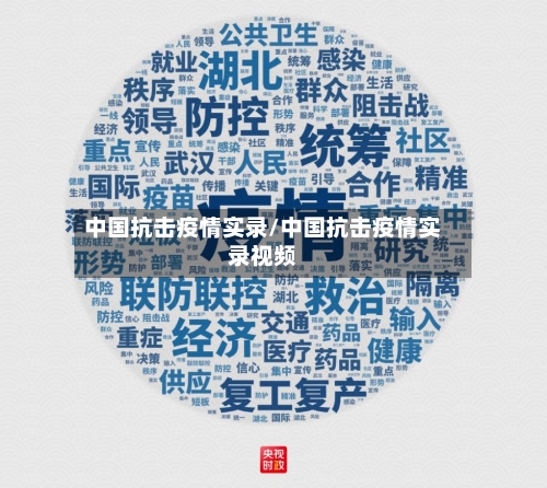 中国抗击疫情实录/中国抗击疫情实录视频