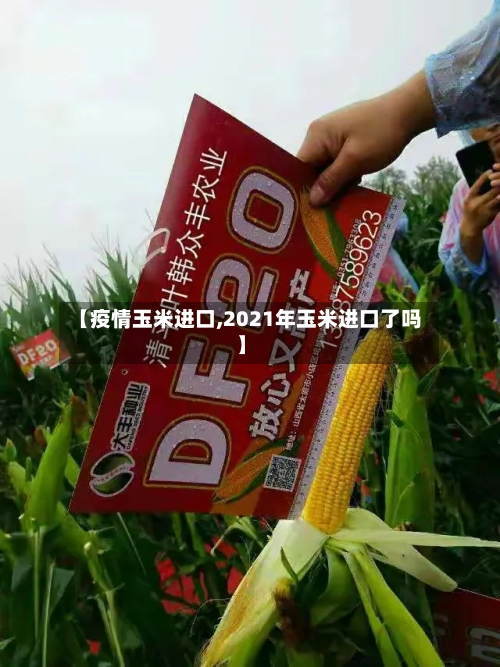 【疫情玉米进口,2021年玉米进口了吗】