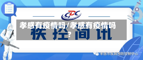 孝感有疫情吗/孝感有疫情吗?-第3张图片