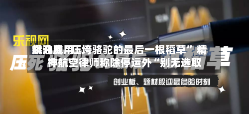 燃油费用飙升成“压垮骆驼的最后一根稻草” 精神航空律师称除停运外“别无选取”