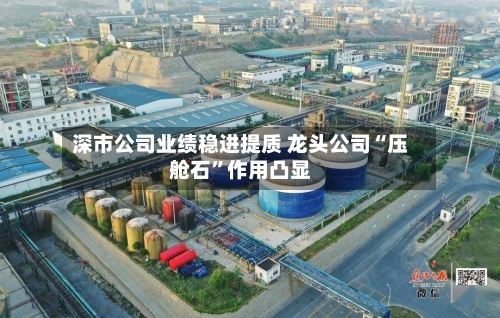 深市公司业绩稳进提质 龙头公司“压舱石”作用凸显