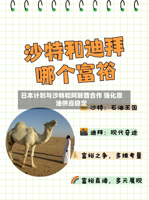 日本计划与沙特和阿联酋合作 强化原油供应稳定