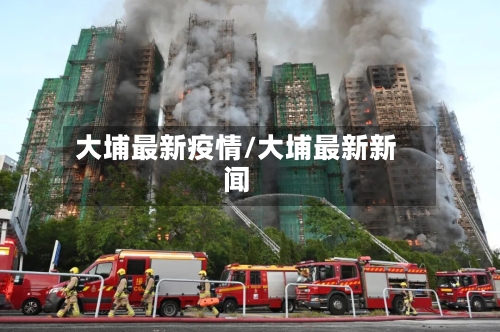 大埔最新疫情/大埔最新新闻