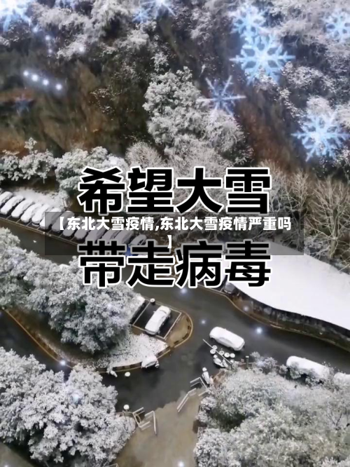 【东北大雪疫情,东北大雪疫情严重吗】-第3张图片
