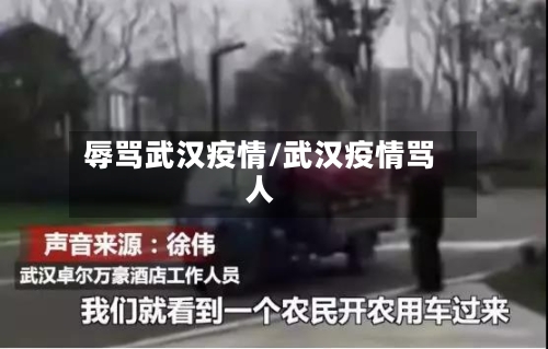 辱骂武汉疫情/武汉疫情骂人