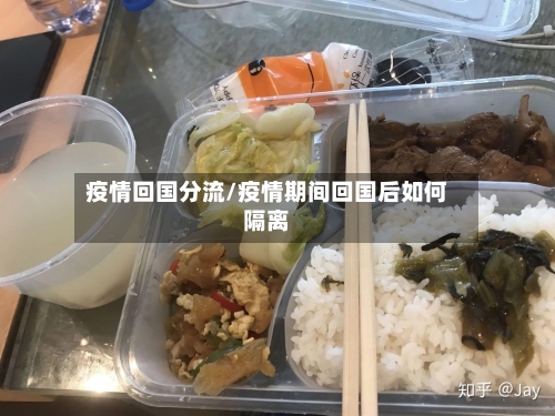 疫情回国分流/疫情期间回国后如何隔离-第2张图片